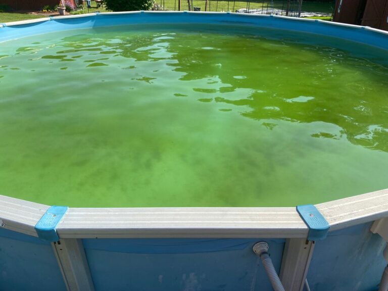 How to Clean a Green Pool