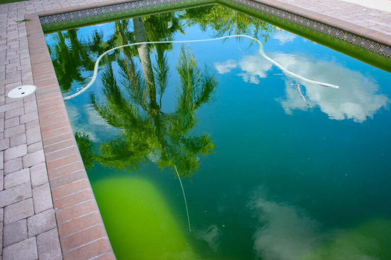 Why Is My Pool Green?