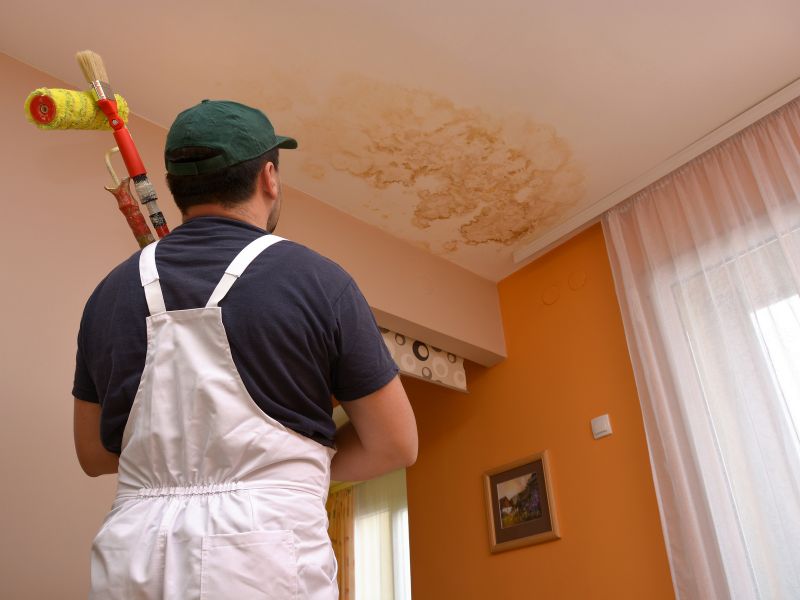 painter looking big stain on the ceiling 
