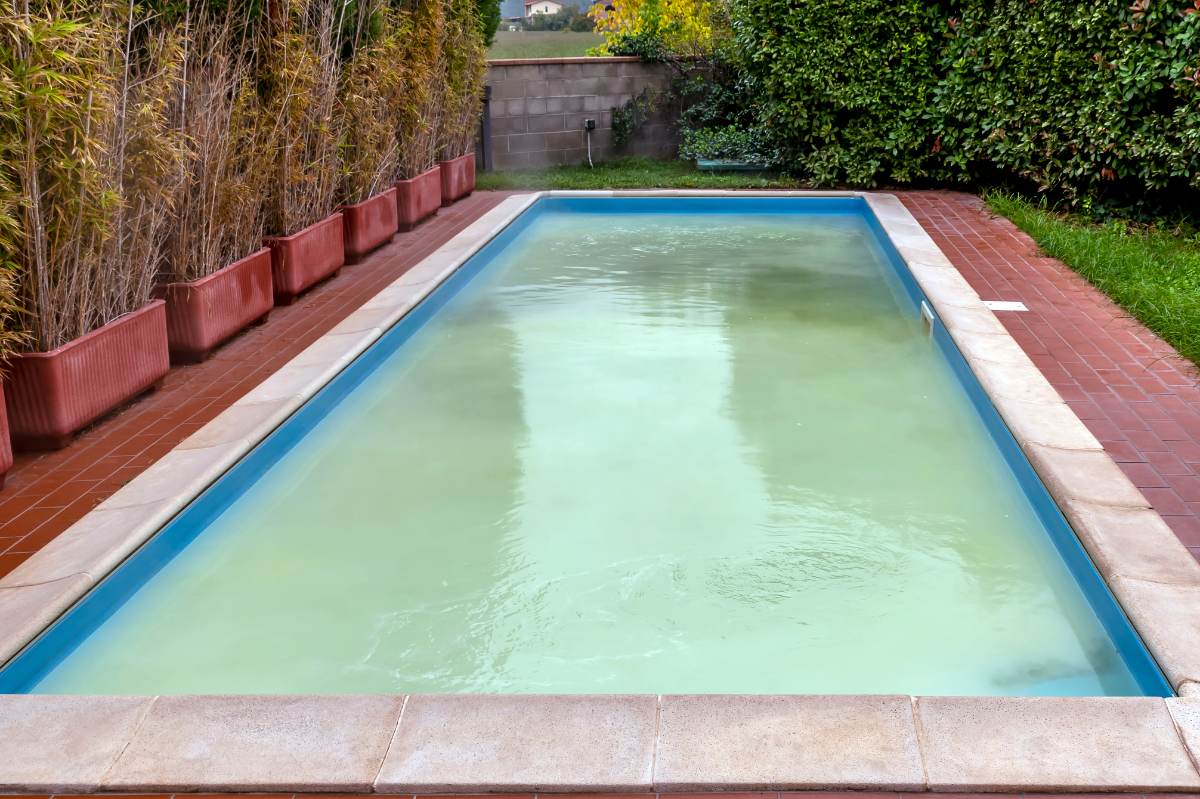 Backyard swimming pool with cloudy white water due to excess chlorine, surrounded by landscaping.