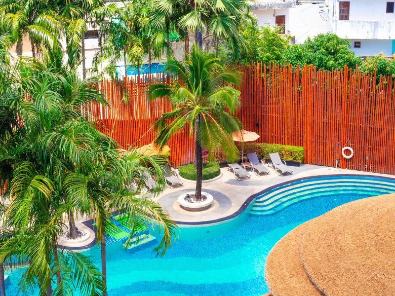 Beautiful swimming pool with palm trees and bamboo fence
