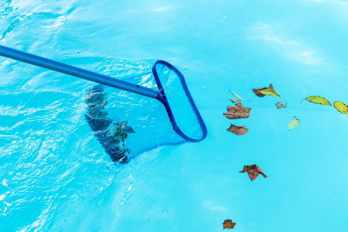 A person holding a long-handled pool net, partially submerged in a turquoise pool to scoop up a few brown leaves floating on the surface.
