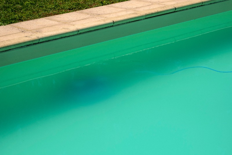 A cloudy, green-tinted swimming pool with murky water showing algae growth, a barely visible robotic pool cleaner on the bottom, and a blue hose trailing along the water surface, with a stone coping and grass border above.
