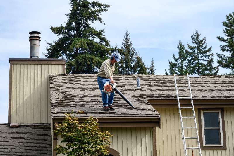 Man standing on a house roof using a leaf blower to remove debris, with a ladder positioned nearby and trees behind.
